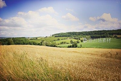 Scenic Landscapes in the South  of France